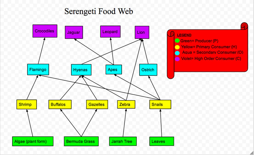 The Food Chain and Threats from human activity - Serengeti ... diagram of the food chain 